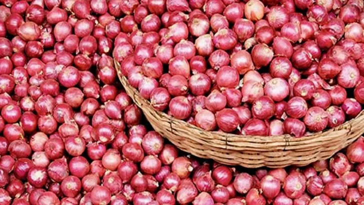 পেঁয়াজ রপ্তানিতে নিষেধাজ্ঞা তুলে নিল ভারত