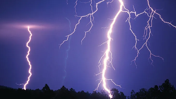 বজ্রপাতে ২ ভাইয়ের মৃত্যু