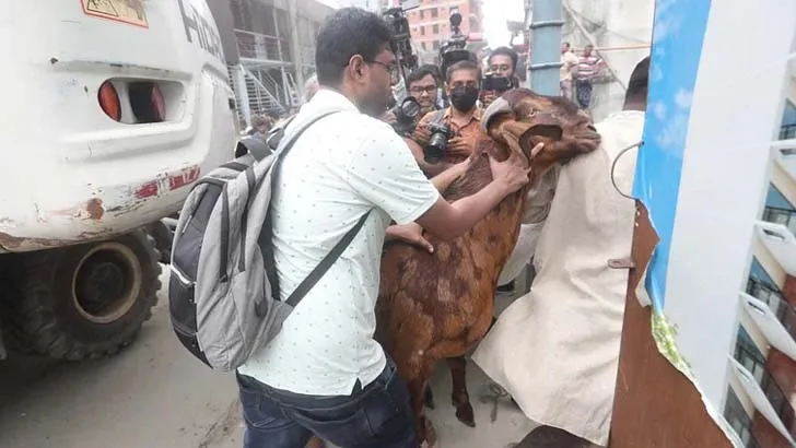 সরানো হলো সাদিক অ্যাগ্রোর সেই ‘উচ্চবংশীয়’ ছাগল