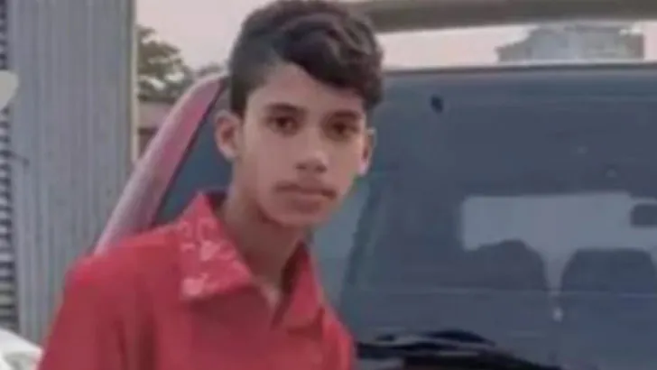 গুলিতেই আমার সব শেষ হইয়া গেছে