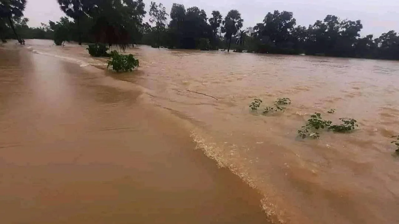 ফুলগাজী ও পরশুরামে ভয়াবহ বন্যায় পানিবন্দি লক্ষাধিক মানুষ