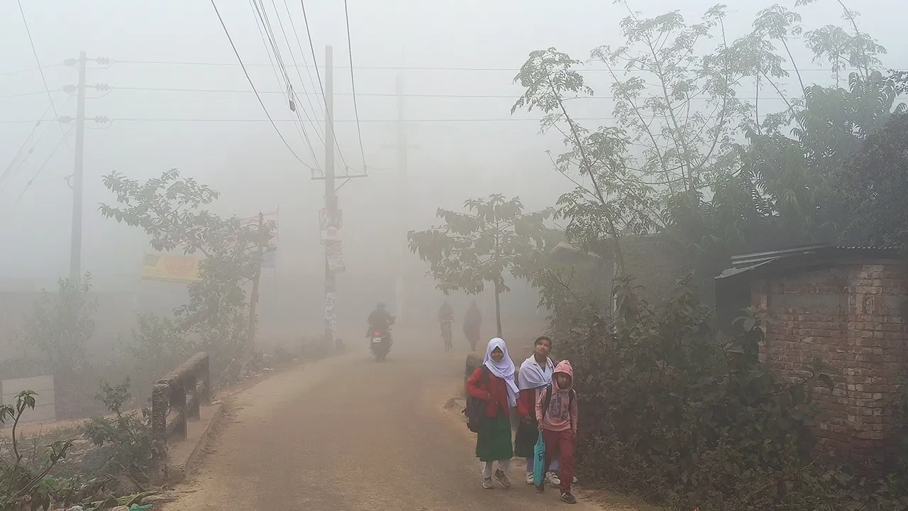 ঠাকুরগাঁওয়ে বৃষ্টির মতো পড়ছে কুয়াশা, জনজীবন বিপর্যস্ত