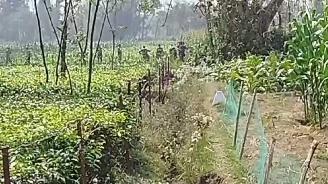 সীমান্তে বিজিবির বাধায় ফিরে গেল বিএসএফ