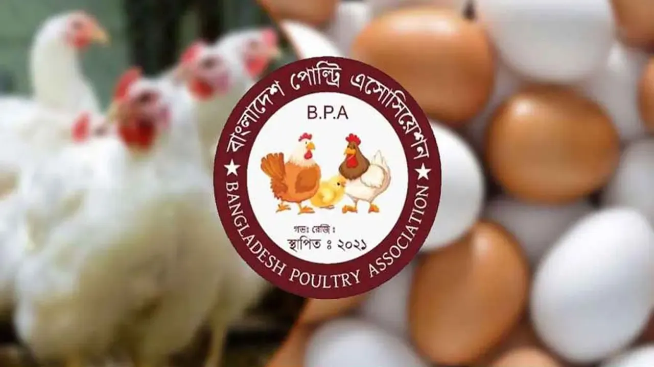 পহেলা মে থেকে সারা দেশে ডিম-মুরগির খামার বন্ধ