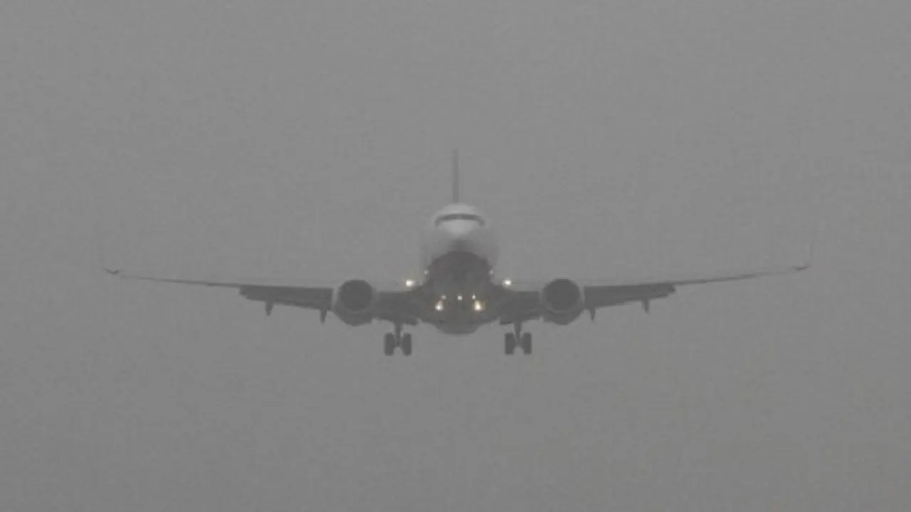 image_252486_1766812500
