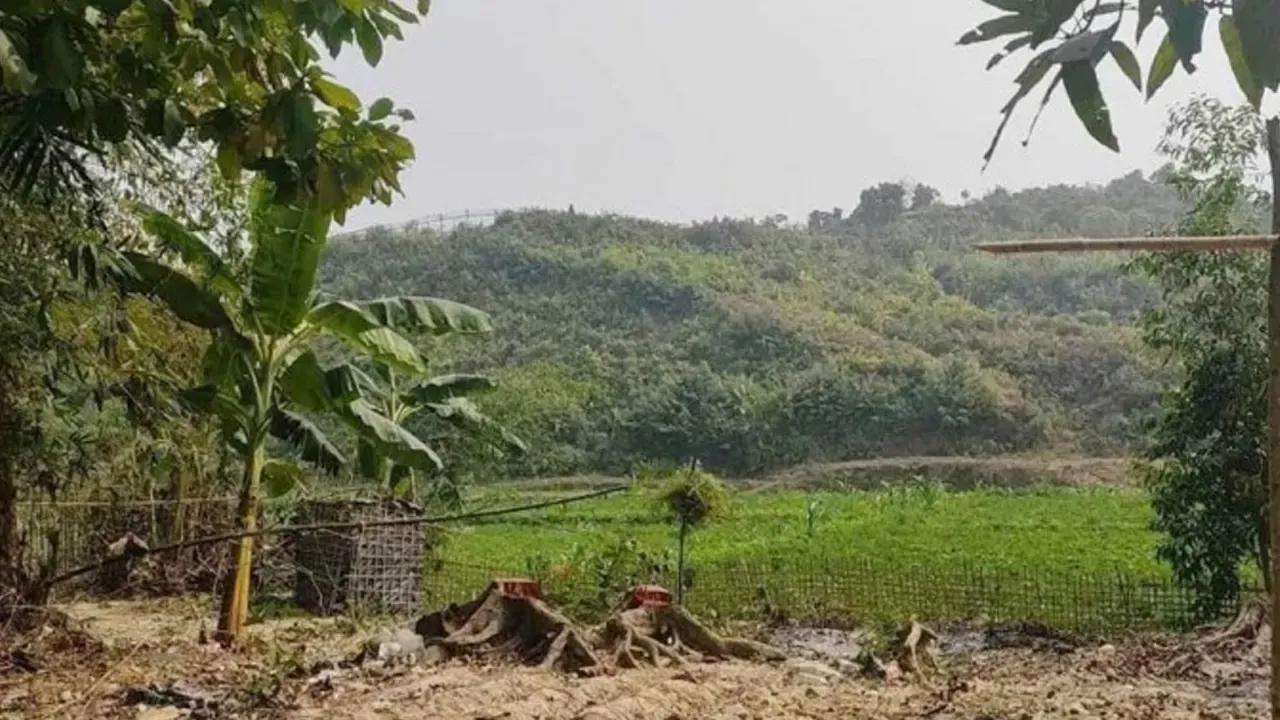বান্দরবান সীমান্তে মাইন বিস্ফোরণে ৩ জন নিহত