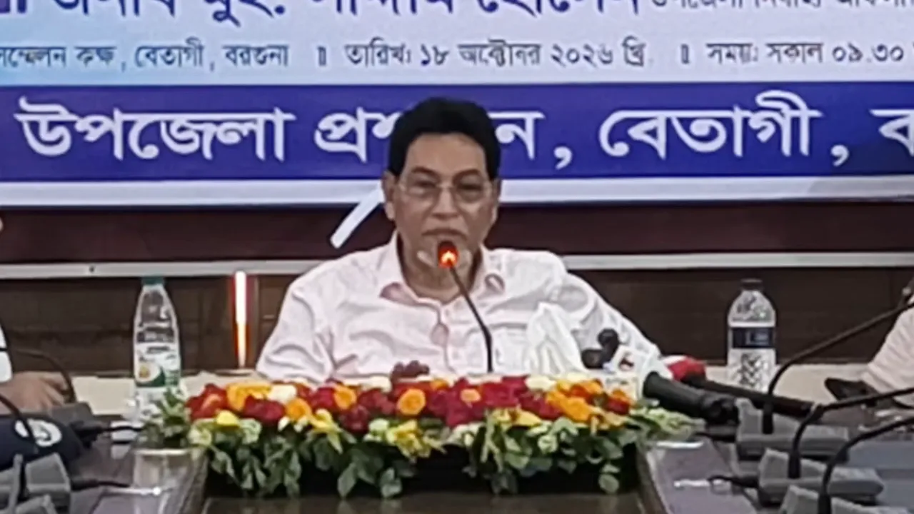 আগামী বছর দেশে বিদ্যুৎ বিক্রির জায়গা থাকবে না : চিফ হুইপ