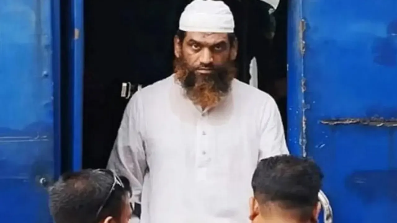 কারামুক্ত হলেন মামুনুল হক