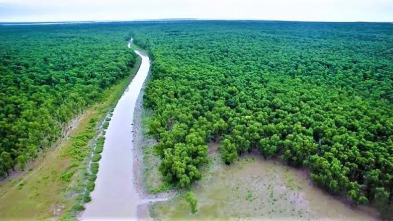 তিন মাসের জন্য বন্ধ হচ্ছে সুন্দরবনের দুয়ার