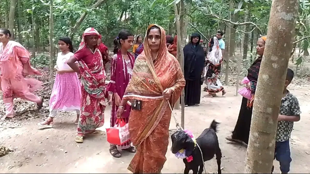 সন্তান হওয়ায় খাসি নিয়ে ঢোল পিটিয়ে কবিরাজের বাড়িতে দম্পতি