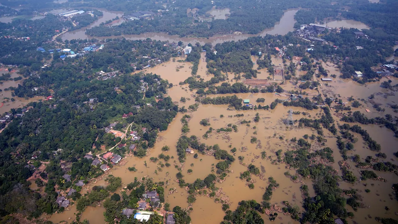 image_নস