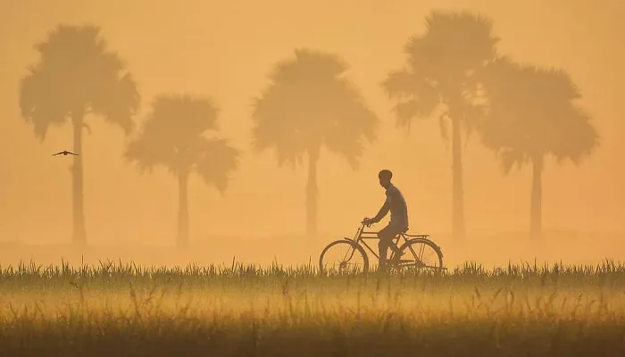শীতে কাঁপছে কুড়িগ্রাম, তাপমাত্রা ৭ দশমিক ৩ ডিগ্রি
