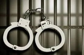 ঢাকায় আ.লীগের ৭ নেতাকর্মী গ্রেপ্তার