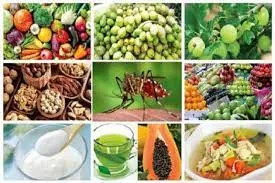 ডেঙ্গু সুরক্ষায় যে খাবার খাবেন