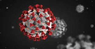 করোনায় টানা চারদিন মৃত্যুশূন্য দেশ
