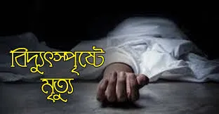 পঞ্চগড়ে বিদ্যুৎস্পৃষ্ট হয়ে গৃহবধূর মৃত্যু