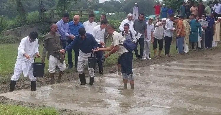বন্যায় ক্ষতিগ্রস্ত ৫ জেলার কৃষকদের ধানের বীজ-চারা দেওয়া হবে