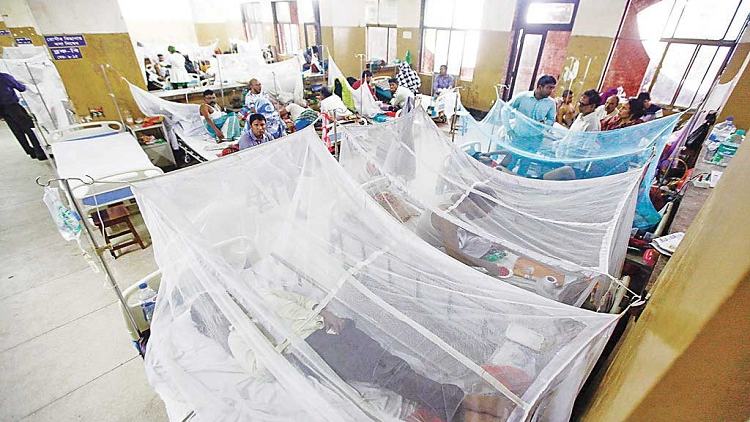Dengue Menace: 49 new dengue patients hospitalised