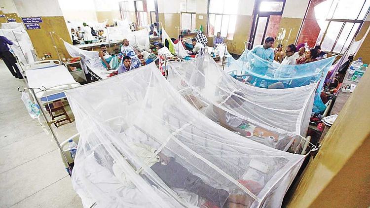 Dengue Fever: 1 dies, 201 hospitalised in 24 hrs