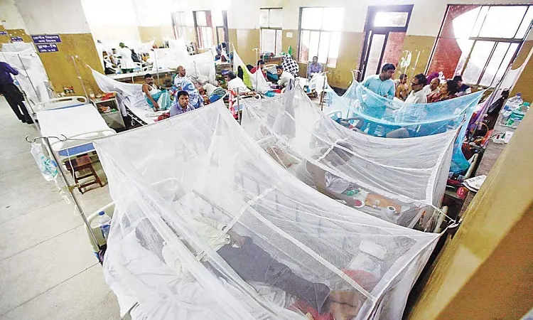 Dengue Menace: 49 new dengue patients hospitalised