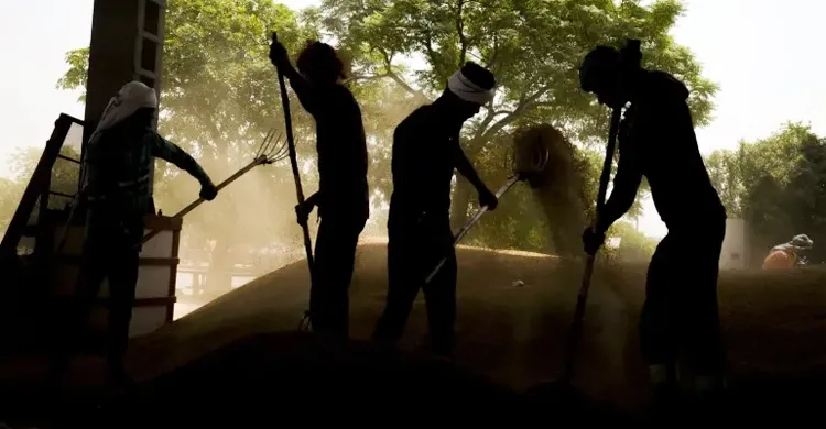 বৈশ্বিক খাদ্য সংকটের নতুন শঙ্কা