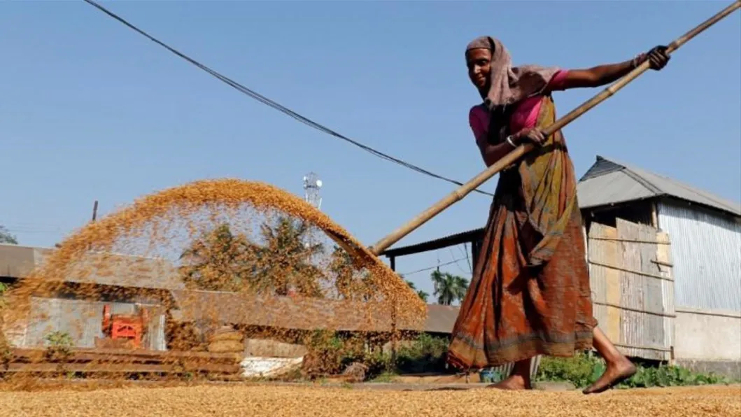 India imposes 20% duty on rice exports of various grades