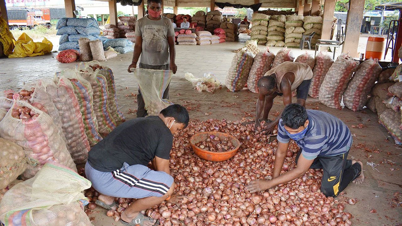 indian-onion