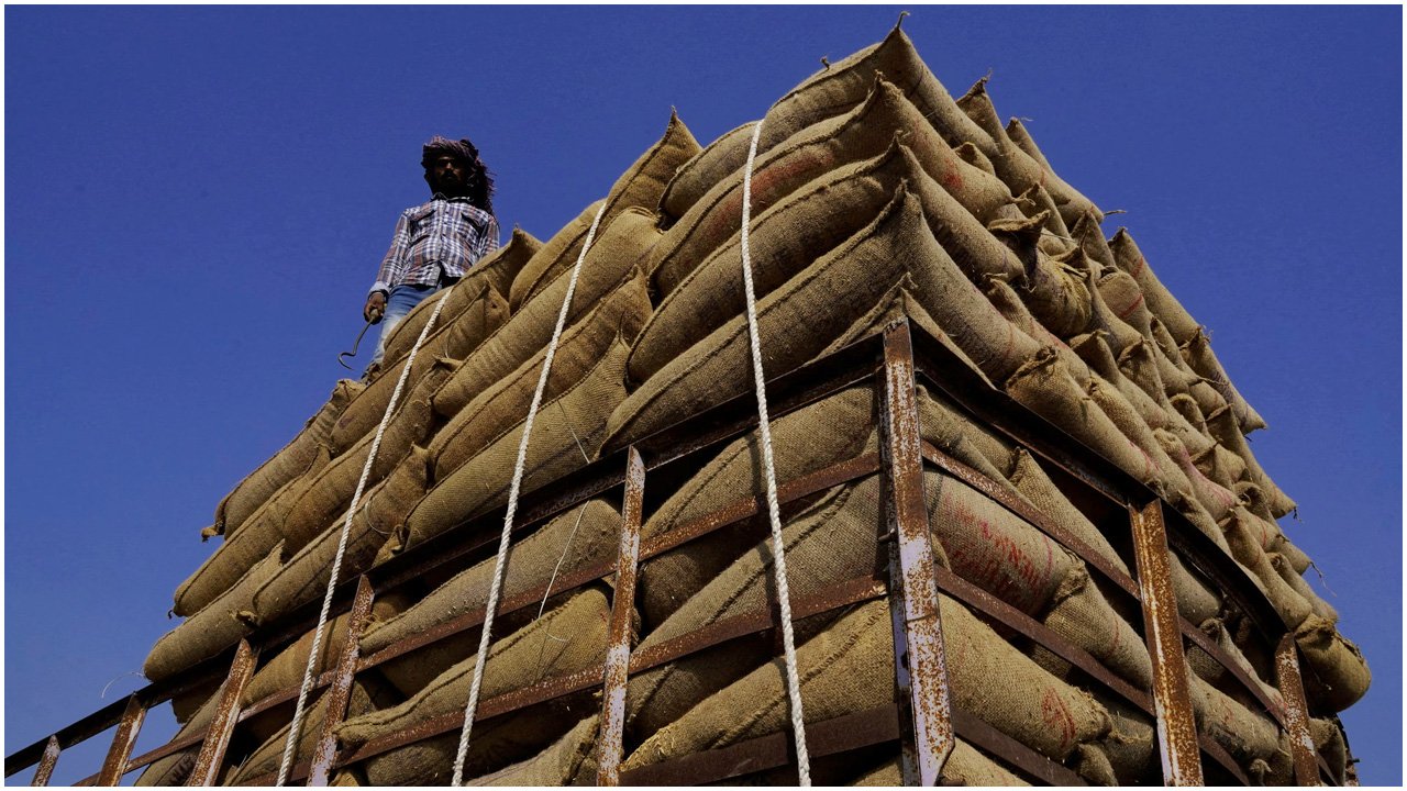indian-rice-20250311211650