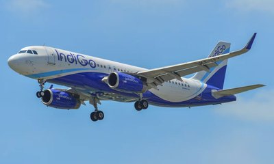 indigo-20241114133300