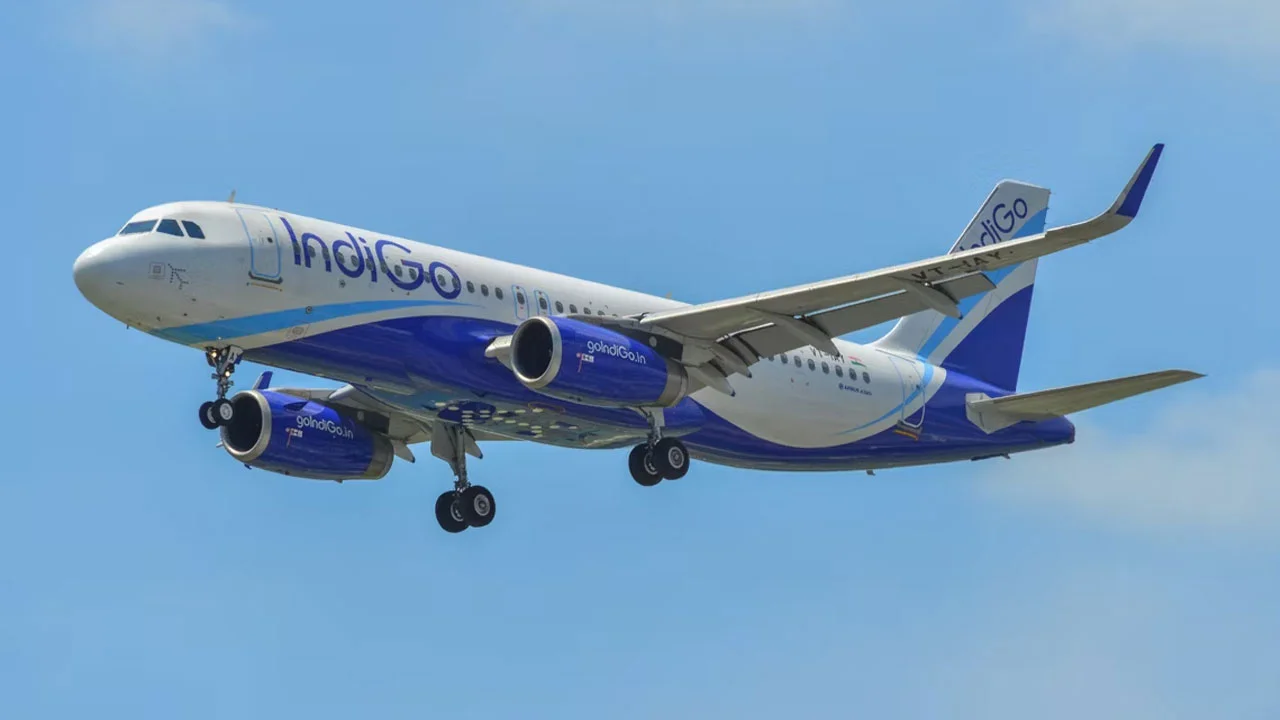 indigo-20241114133300