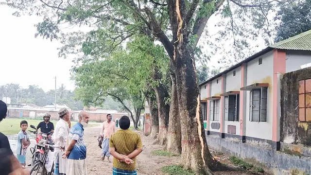 বজ্রপাতে গাছ ফেটে চৌচির, আহত ৭ শিক্ষার্থী