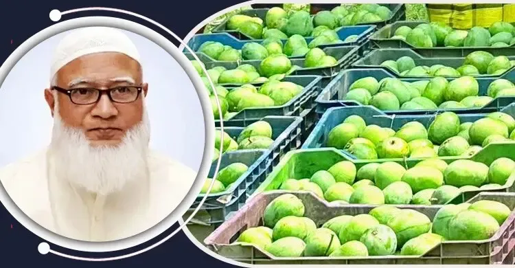 সংসদের সবাইকে ১০ কেজি করে আম উপহার, প্রশংসায় ভাসছেন জামায়াত আমির