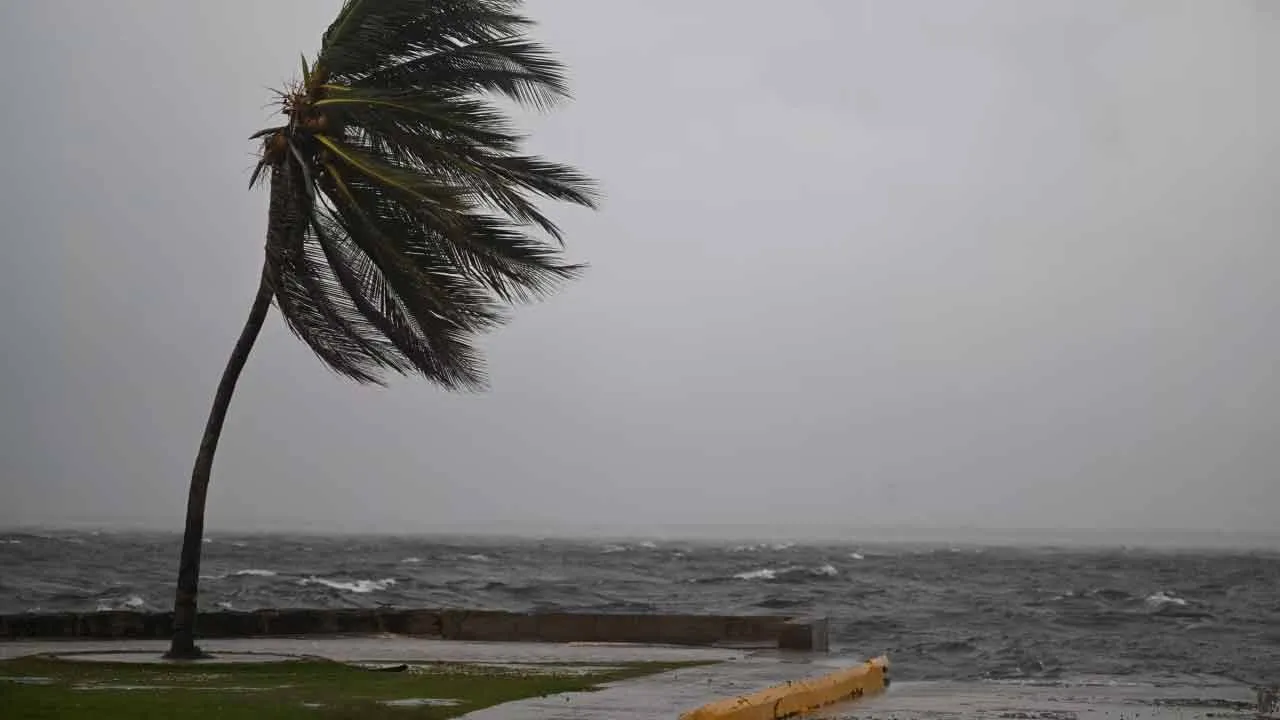 জ্যামাইকায় আঘাত হানতে চলেছে মেলিসা, বাতাসের গতিবেগ ২৮২ কিমি