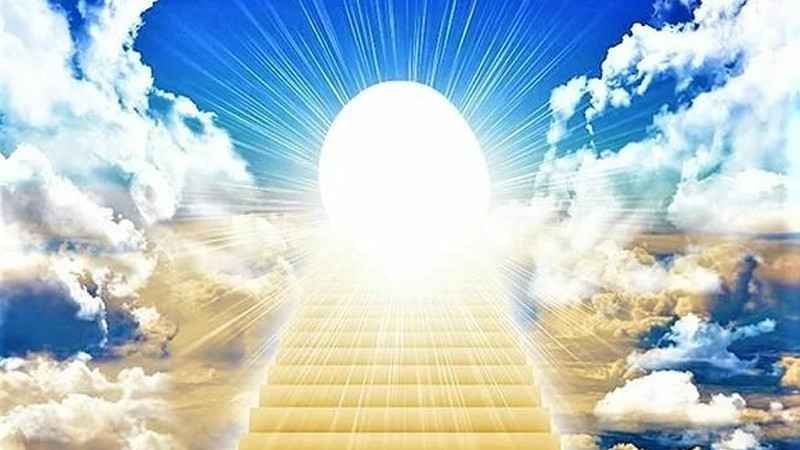 jannat_20250408_205228490