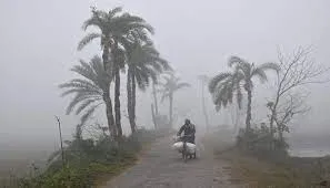 যশোর-চুয়াডাঙ্গা সর্বনিম্ন ৭.৮ ডিগ্রি তাপমাত্রায়: বিপর্যস্ত জনজীবন
