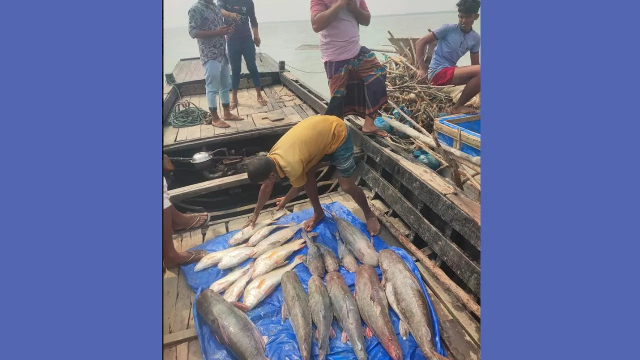 ১৯টি মাছ বিক্রি হলো সাড়ে তিন লাখ টাকায়