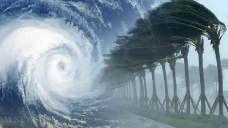 ১১ মে'র মধ্যে সৃষ্টি হতে পারে ঘূর্ণিঝড় 'মোচা'