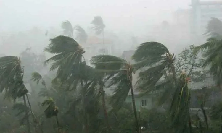 বন্দরে ৩ নম্বর সংকেত, ১০ অঞ্চলে ঝড়-বৃষ্টি