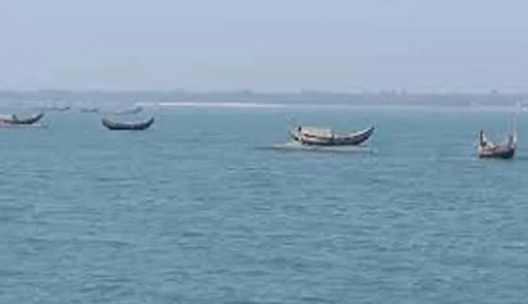 ১৮ বাংলাদেশি জেলেকে ধরে নিয়ে গেছে বিজিপি