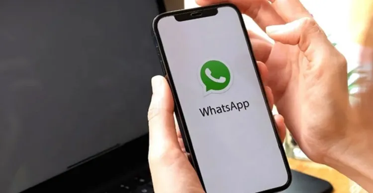 জুম ও গুগল মিটের সুবিধা এখন হোয়াটসঅ্যাপে