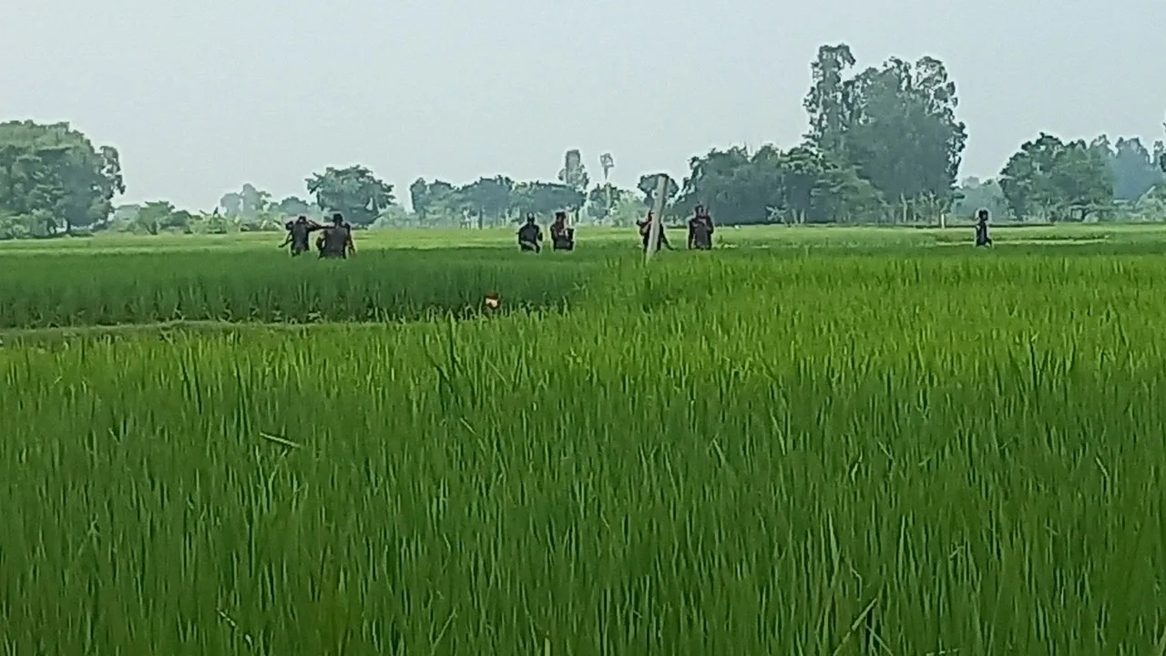 সীমান্তে ফের কাঁটাতারের বেড়া নির্মাণ করছিল বিএসএফ, বিজিবির বাধা