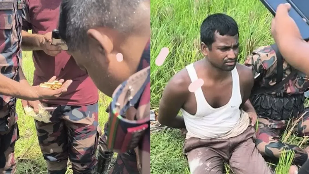 ধানক্ষেতে কাদার নিচে লুকিয়ে রাখা হয়েছিল ১০১ ভরি স্বর্ণ