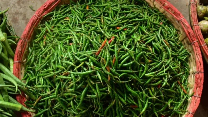ট্রিপল সেঞ্চুরি কাঁচামরিচের