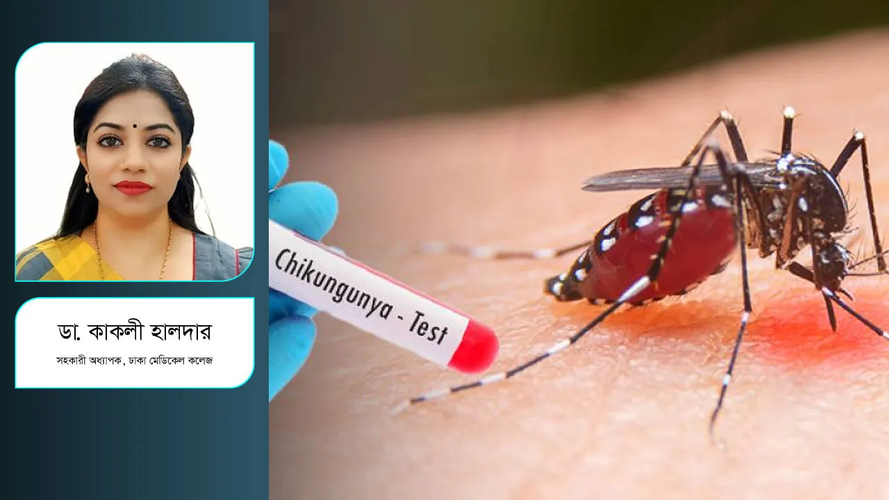 চিকুনগুনিয়ায় কারা বেশি আক্রান্ত হয়, করণীয়!