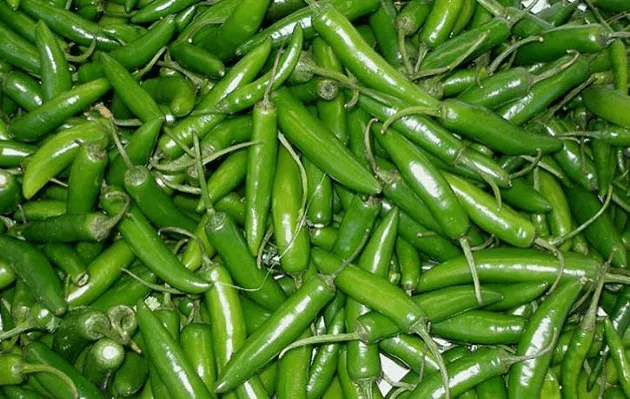 আরও বেড়েছে কাঁচা মরিচের দাম