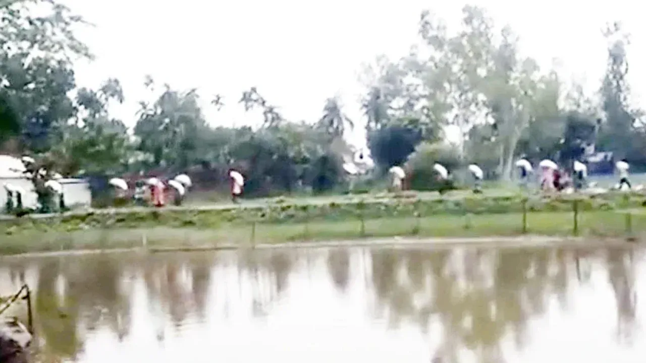 সার না পেয়ে ডিলারের গুদাম ভেঙে সার লুট কৃষকদের