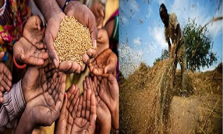 বৈশ্বিক খাদ্য সংকটের আশঙ্কা আমাদের সতর্ক থাকতে হবে