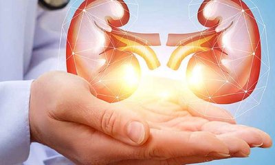 kidney-damage-because-of-hi-20240518075835-20240518082321