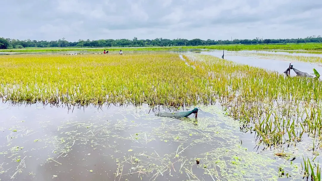 kishoregonj-20260428191408
