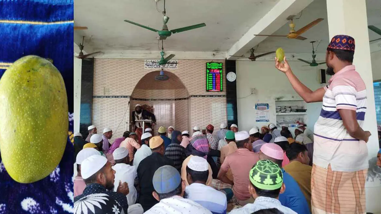 কিশোরগঞ্জে এক আম ১৬০০ টাকায় বিক্রি